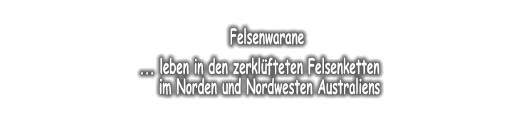 Felsenwarane  ... leben in den zerkl�fteten Felsenketten     im Norden und Nordwesten Australiens